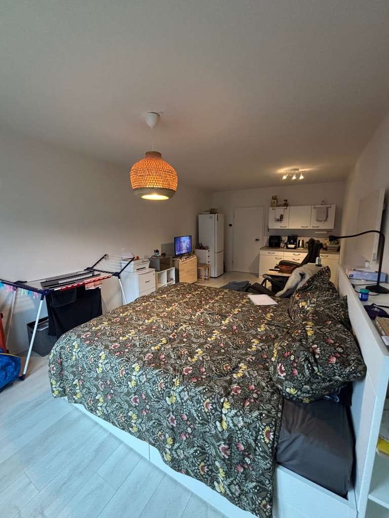 Immobilie in Kirchzarten - Helle und moderne 1-Zimmer-Wohnung inkl. Tiefgaragenstellplatz in Top Lage von Kirchzarten - Bild 1