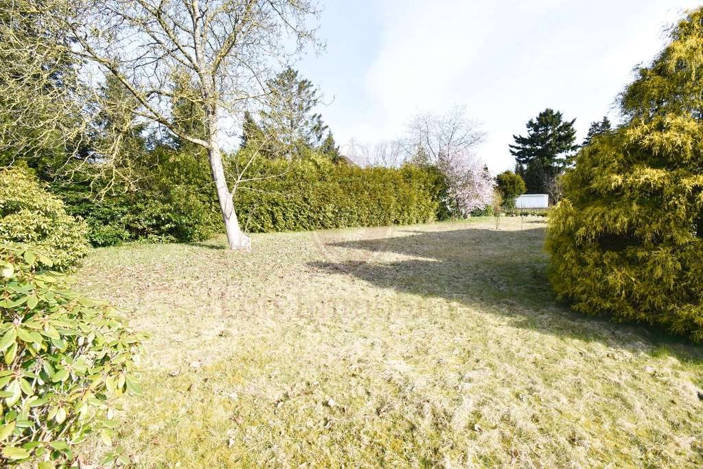 Immobilie in Hartenholm - ***Handwerker aufgepasst - Gepflegtes Siedlungshaus auf traumhaftem Grundstück*** - Bild 3
