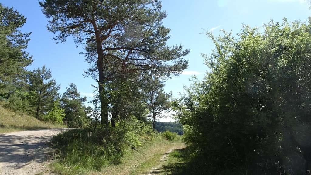 Immobilie in Blankenheim - Ferienhaus - auch zum Dauerbewohnen oder zur Vermietung - in waldreicher Höhenlage - Bild 2