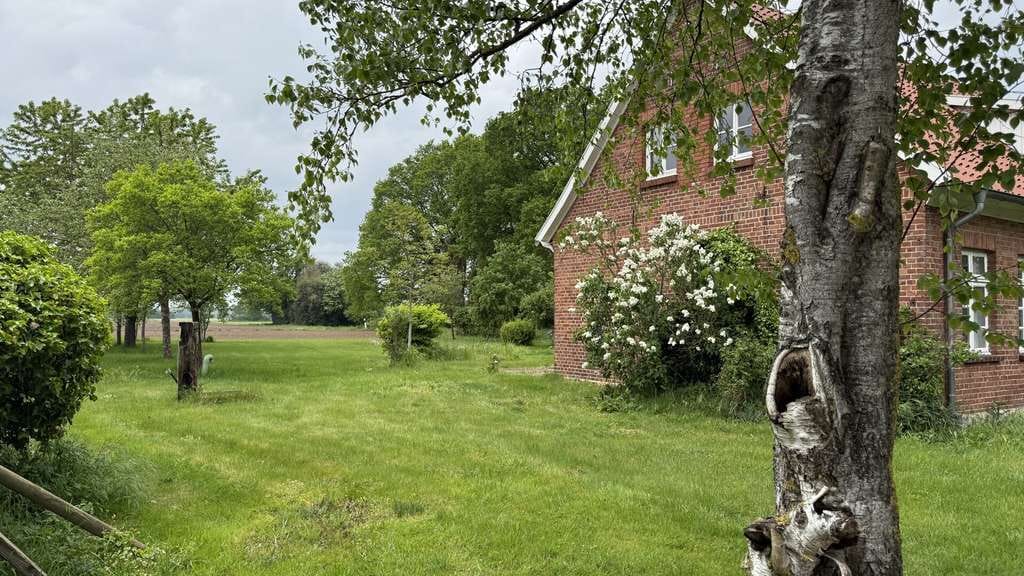 Immobilie in Gehrde - Ferienhaus mit Dauerwohnsitz – solides Landhaus im Grünen - Bild 2