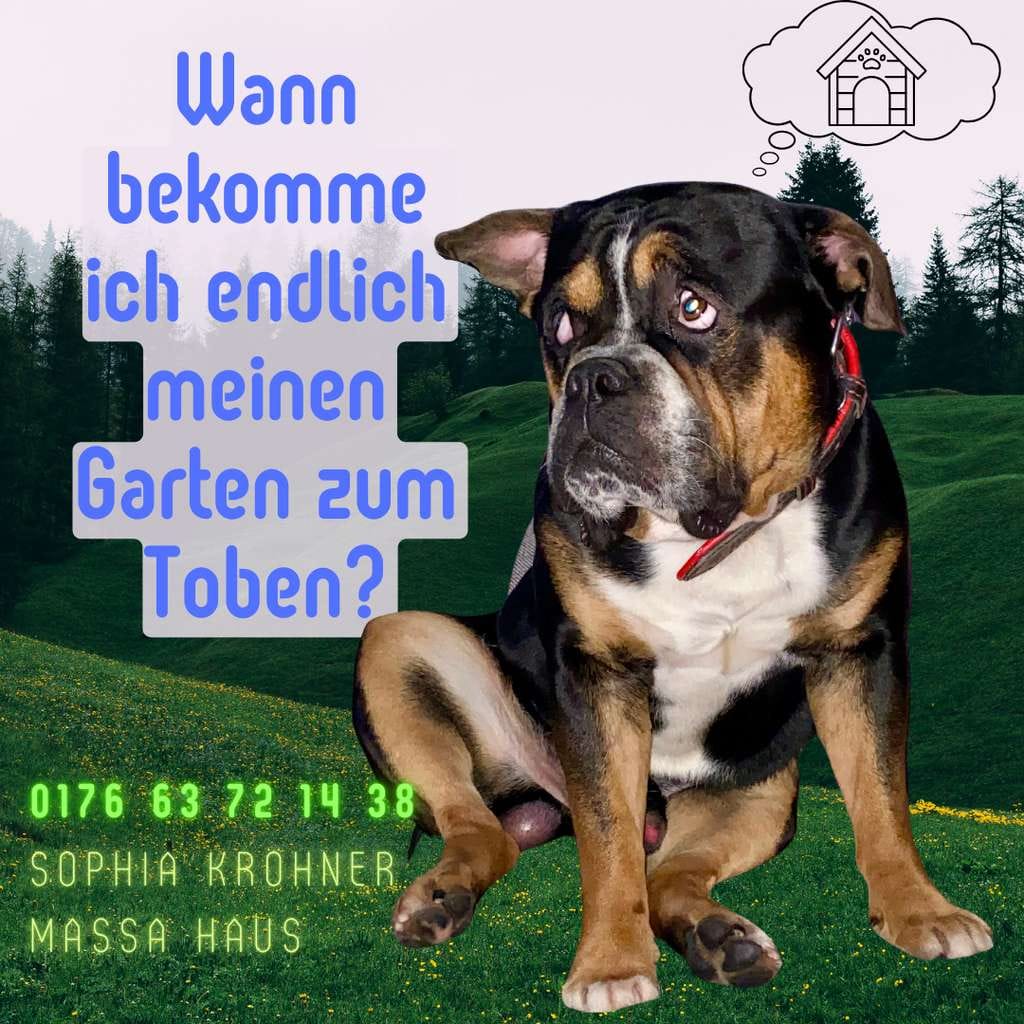 Immobilie in Großschirma - 134 m² pure Wohnfreude - Durchdacht & perfekt für Euren Alltag - Bild 0