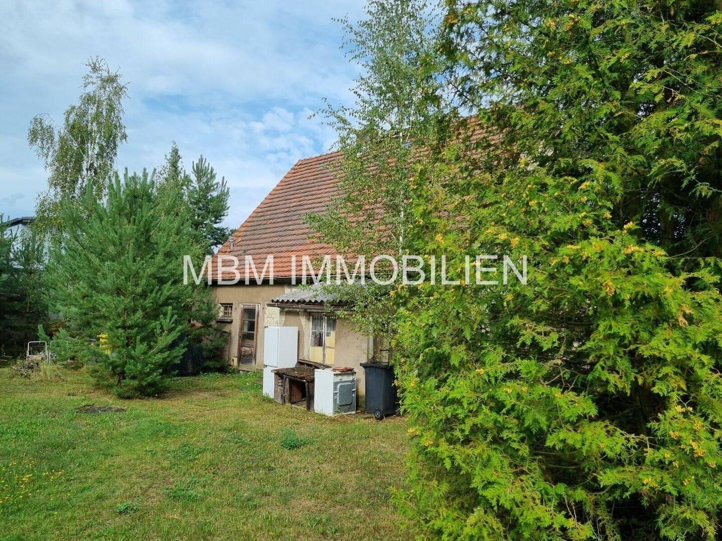 Immobilie in Lauta - Lauta - Siedlungshaus - Ihr neues ZuHause - Bild 1