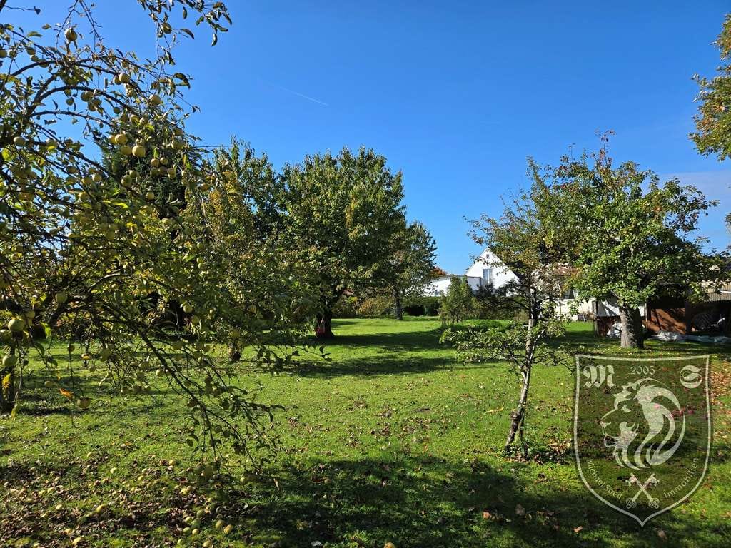 Immobilie in Lauingen (Donau) - Einfamilienhaus mit großem Grundstück - ideal für Handwerker - in Lauingen - Bild 4
