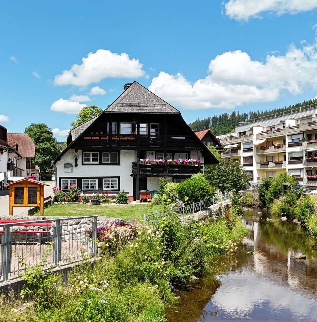 Immobilie in Lenzkirch - Gelegenheit - Schwarzwaldhaus mit Ferienwohnungen im Hochschwarzwald ! - Bild 2