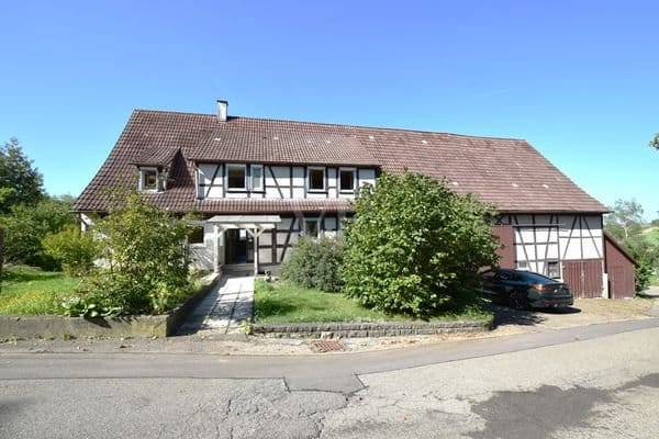 Immobilie in Wallhausen - Ihr Wohnerlebnis im Grünen - Großes Bauernhaus mit Scheunenanbau und Hallengebäude bei Wallhausen - Bild 0