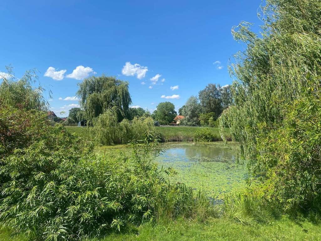 Immobilie in Tacherting - Seltene Alleinlage: Bauernhaus mit zwei Seen auf 17.800 m² Grundstück - Bild 0