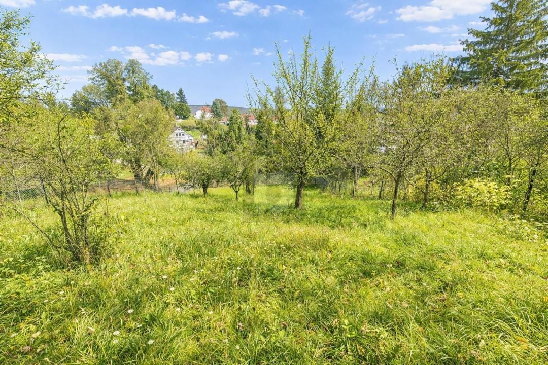 Immobilie in Arnstadt - HISTORISCH VIEL PLATZ MIT GARTEN UND GARAGE - Bild 4
