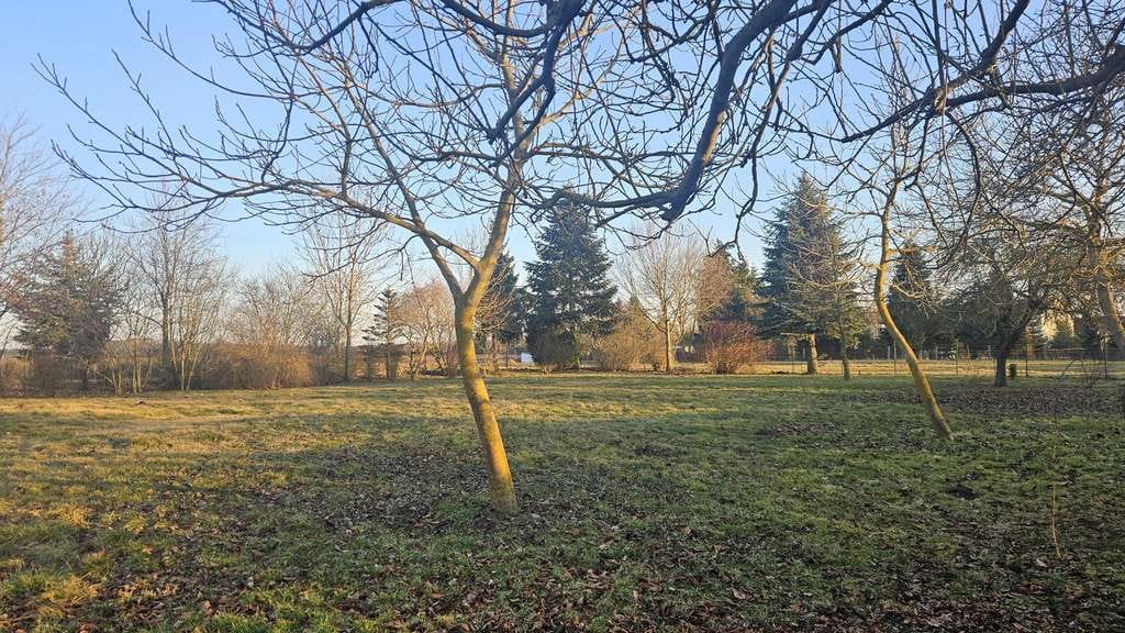Immobilie in Spantekow - Einfamilienhaus und Baugrundstück - Bild 1