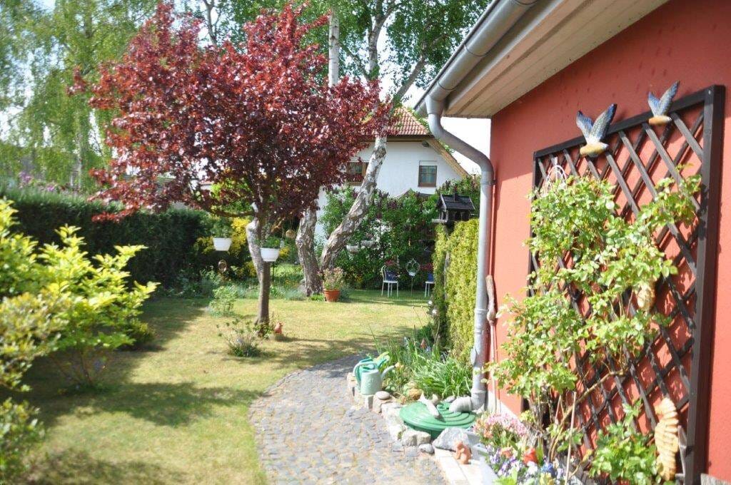Immobilie in Peenemünde - Gepflegtes Einfamilienhaus in Peenemünde - Bild 4