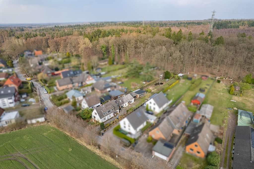Immobilie in Börnsen - NEU BÖRNSEN- Großzügiges Grundstück in Waldrandlage mit Altbestand und 2 Baufeldern - Bild 3