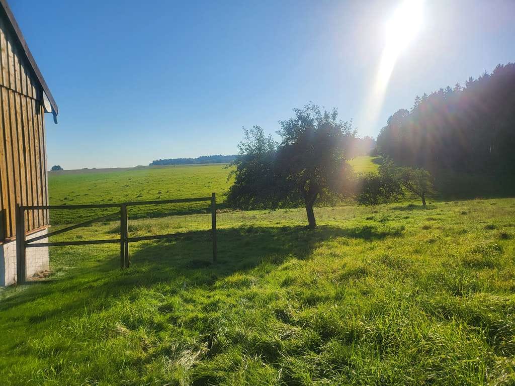 Immobilie in Haarbach - Seltene Gelegenheit! Alleinlage mit 10.000 m² arrondiertem Grundstück - Bild 4