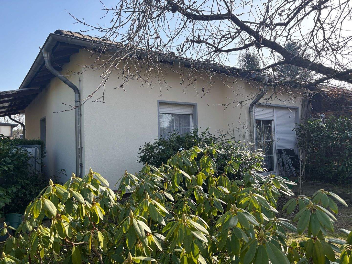 Immobilie in Coswig (Anhalt) - Bungalow in grüner und waldreicher Wohnlage !! - Bild 1