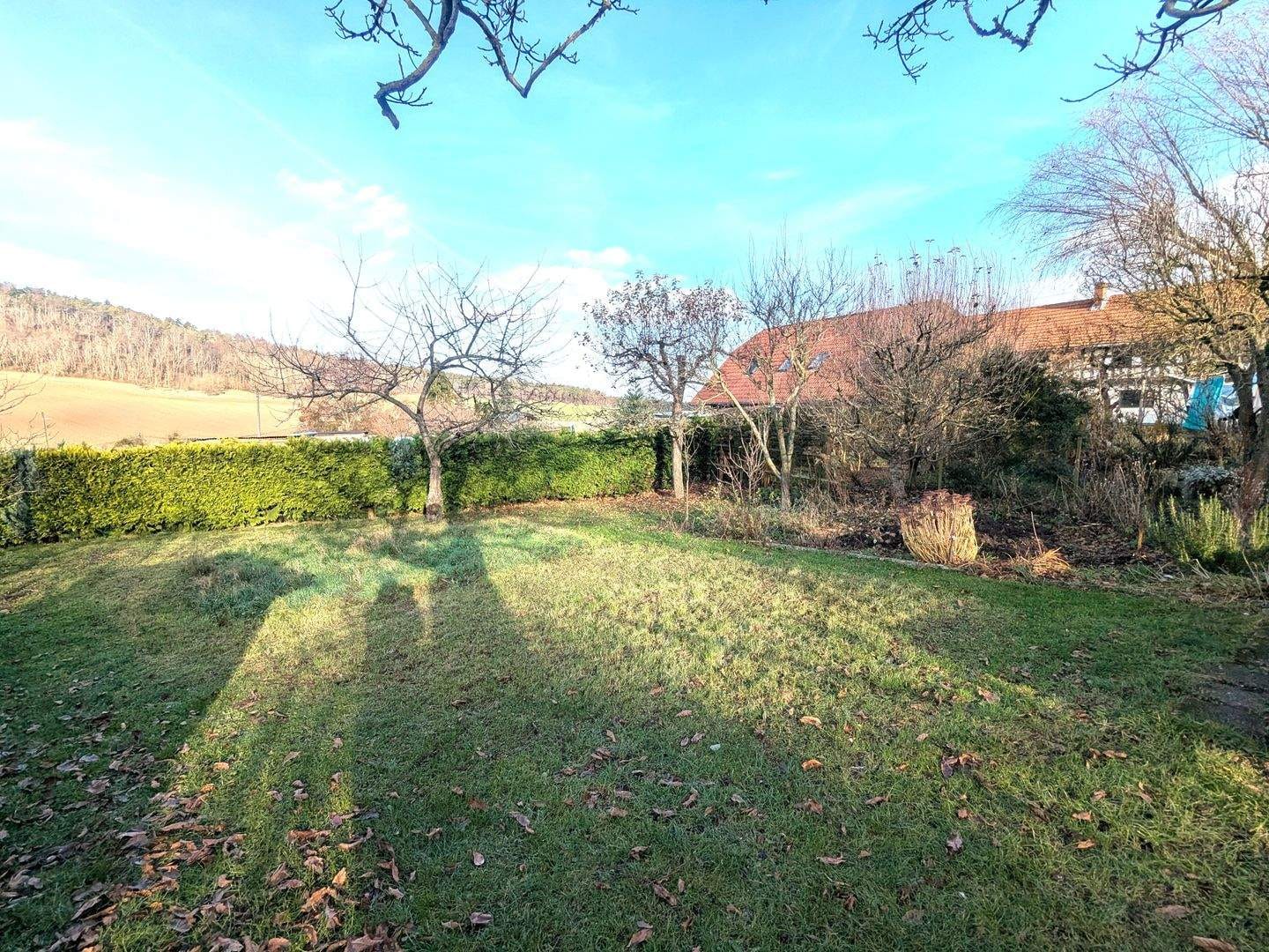Immobilie in Großlöbichau - Ruhiges Einfamilienhaus mit Einliegerwohnung, Gartenidylle und Doppelgarage. Ideal für Familie & Mehrgenerationenwohnen.  - Bild 4
