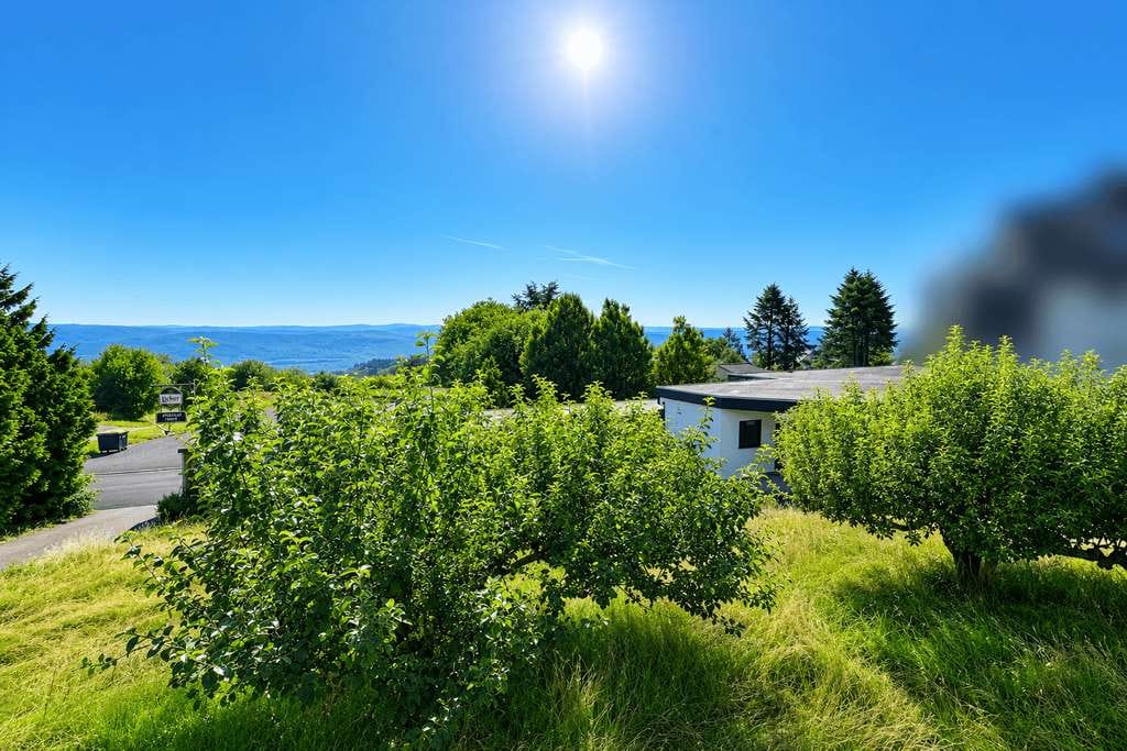 Immobilie in Greifenstein - Projektentwicklung mit Weitblick - ehemalige Pension zur Umnutzung in attraktives Mehrfamilienhaus! - Bild 0