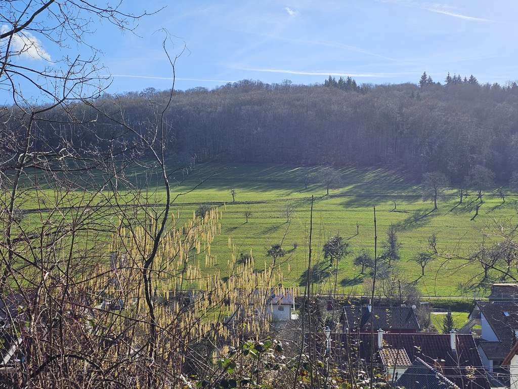 Immobilie in Inzlingen - Sanierungsbedürftiges, großzügiges 1-2-Fam.Haus mit wunderbarem Blick und viel Potenzial - Bild 2