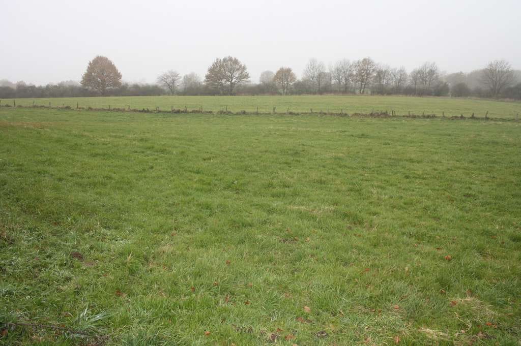 Immobilie in Hanerau-Hademarschen - Resthof in Alleinlage mit zwei Wohnungen auf ca. 4,3 ha Grundstück. - Bild 0