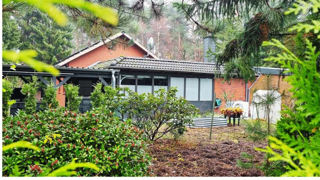 Immobilie in Armstorf - Freistehendes Einfamilienhaus mit großem Naturgrundstück in am Waldrand - Bild 1