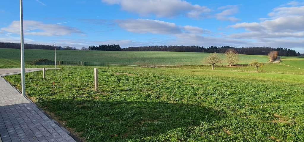 Immobilie in Bollenbach - Realisieren Sie Ihr Haus im Neubaugebiet in Bollenbach! - Bild 3