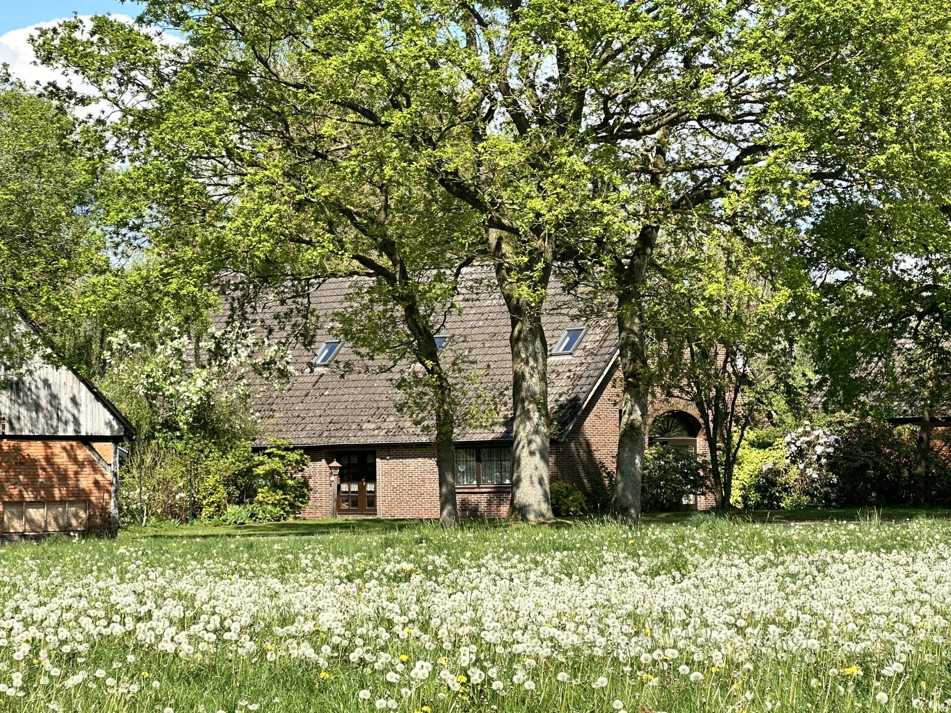 Immobilie in Wiefelstede - Ammerländer Bauernhaus in schöner Dorflage - Bild 1