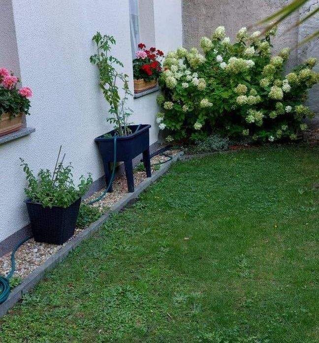 Immobilie in Rothenburg/Oberlausitz - gemütliches Zuhause, zentral und gut geschnitten - auch super für Homeoffice oder kleinem Laden geeiget - Bild 1