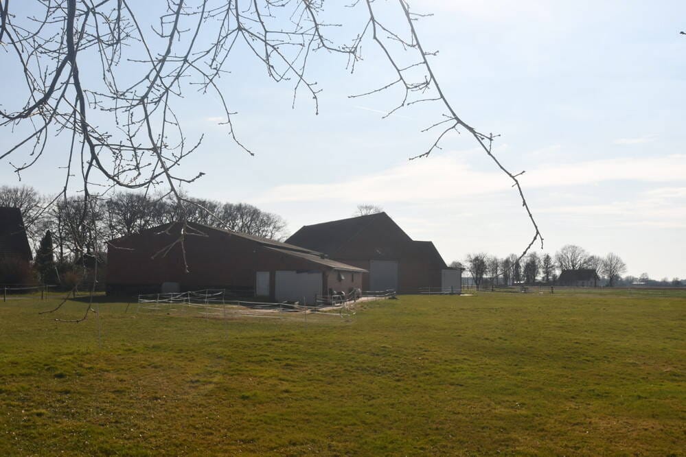 Immobilie in Barnstorf - Solider, gepflegte Resthof mit Nebengebäude und Halle ideal für Pferdehaltung - Bild 4