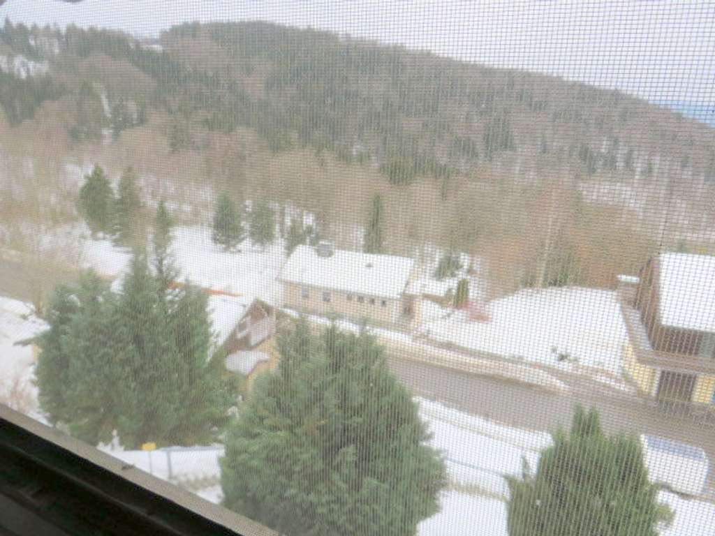 Immobilie in Schöfweg - Appartement - ca. 47 m² Wohnfläche - mit Ausblick im Bayerischen Wald - Bild 0
