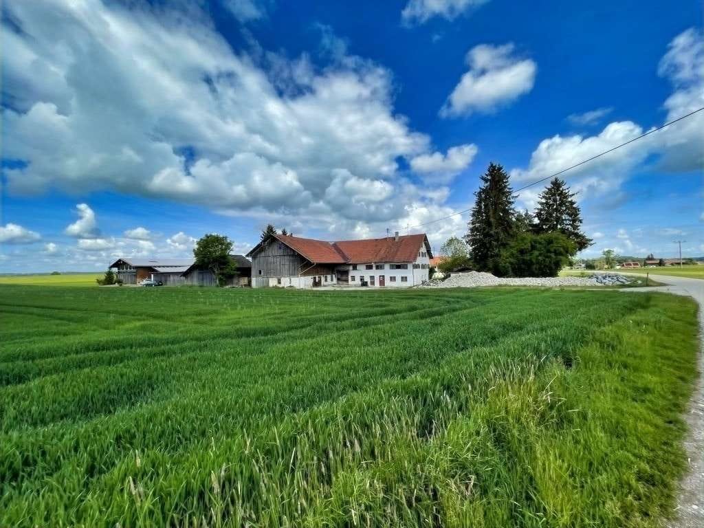 Immobilie in Legau -  Bauernhaus auf großem Grundstück - Natur pur!
 - Bild 1
