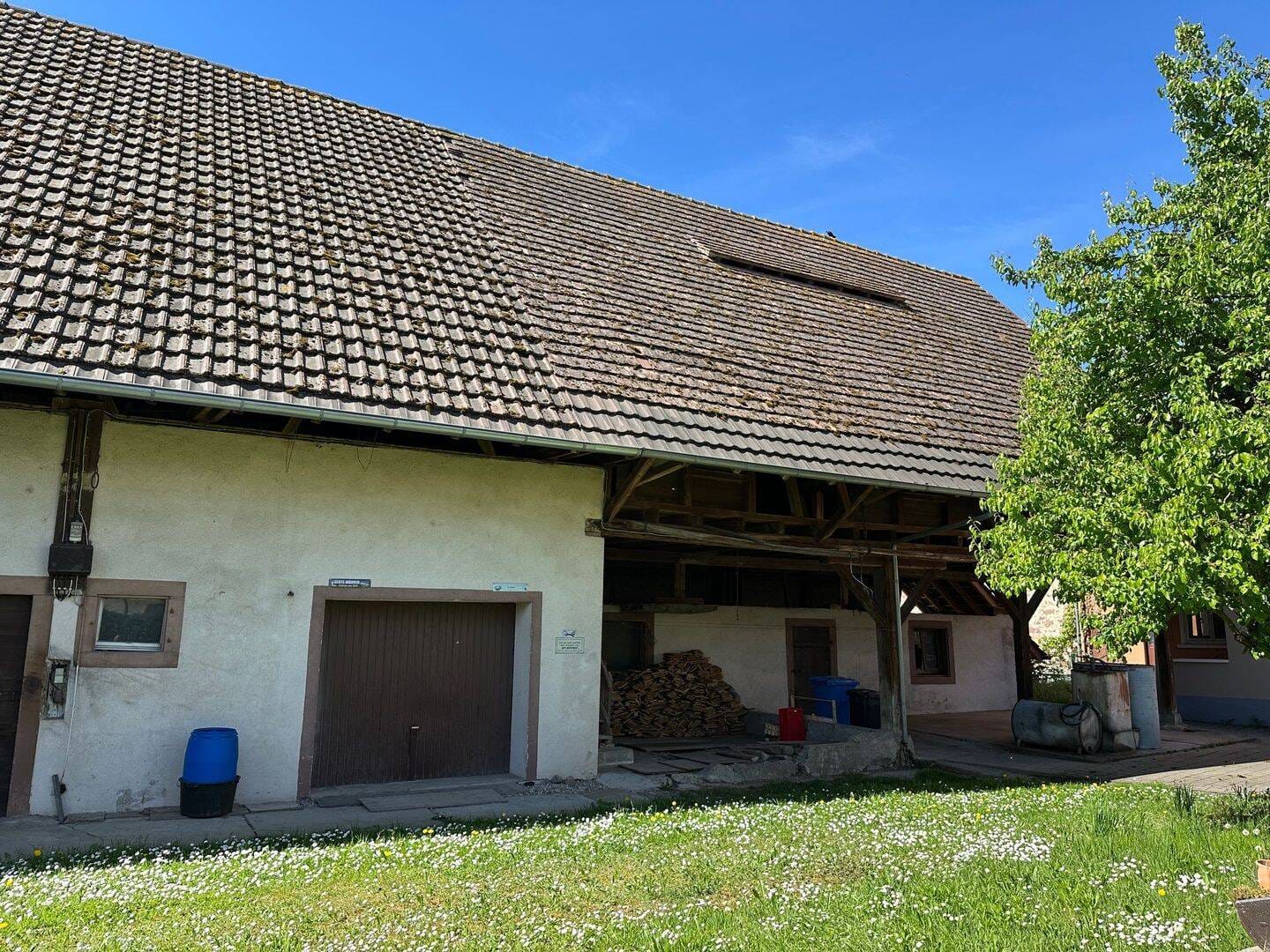 Immobilie in Weisweil - Wohnhaus mit Ökonomiegebäude auf sehr großem Grundstück - Bild 3