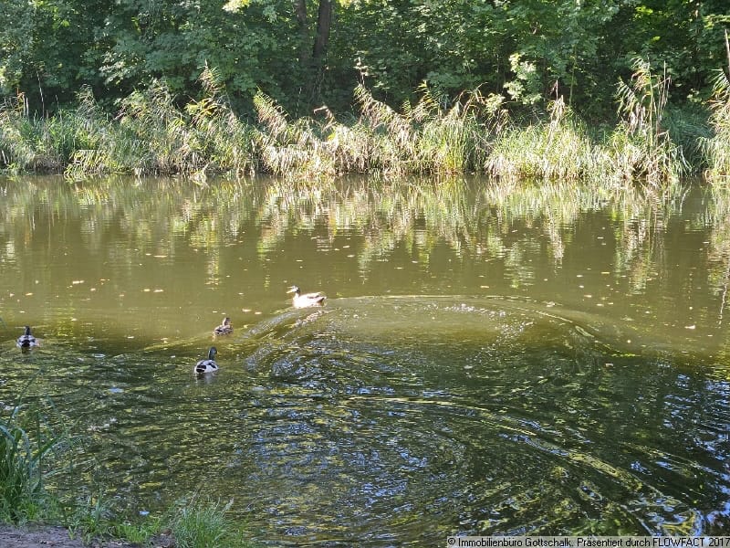 Immobilie in Oranienburg - Erholungsobjekt am Oranienburger Kanal - Bild 2