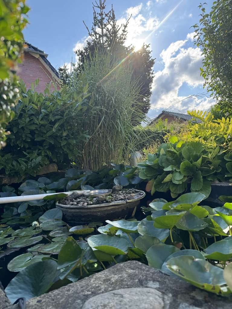Immobilie in Mesekenhagen - Großzügiges Einfamilienhaus mit Doppelcarport und Obstgarten - Bild 1