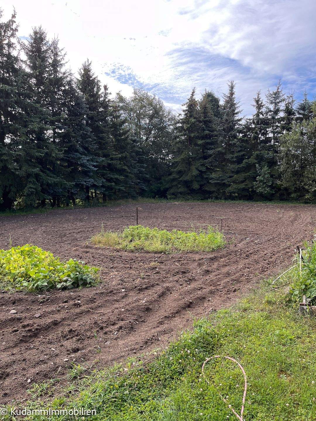 Immobilie in Rheinsberg - Einfamilienhaus mit Nebengelassen und großem Grundstück in Linow - Bild 4