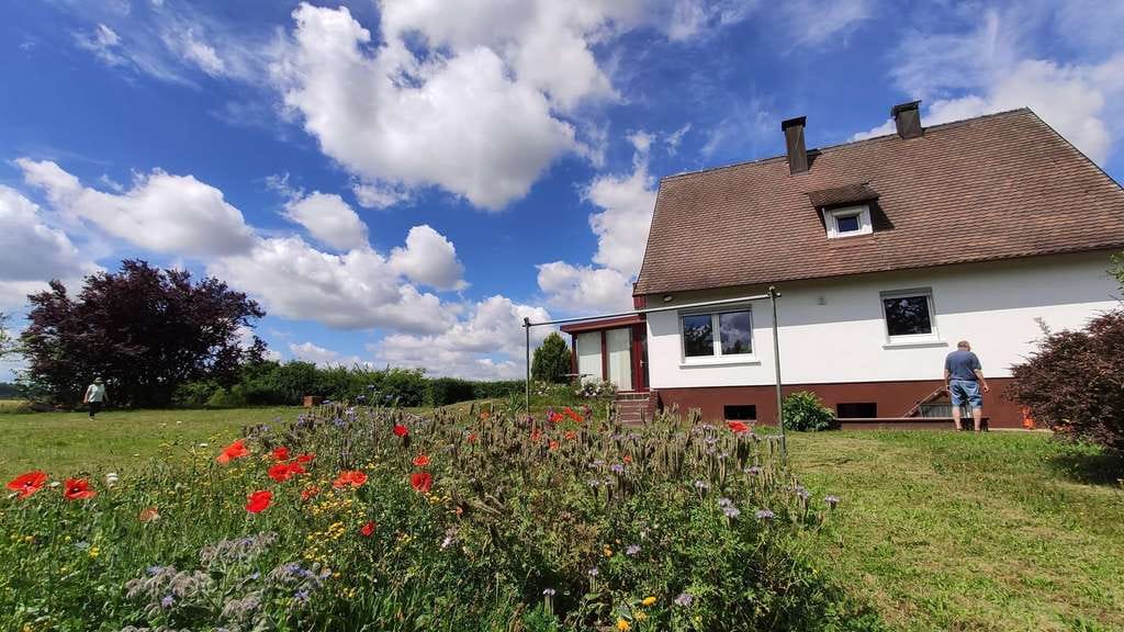 Immobilie in Dombühl - Gepflegtes EFH in ruhiger Ortsrandlage: Großes Grundstück in Dombühl (bezugsfrei ab Herbst) - Bild 3