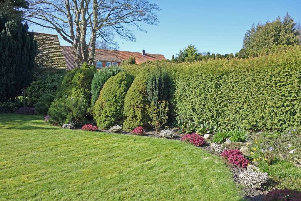 Immobilie in Wangerland - Malerisch wohnen in Minsen - Charmanter Bungalow mit traumhaftem Garten in absolut ruhiger Lage! - Bild 1