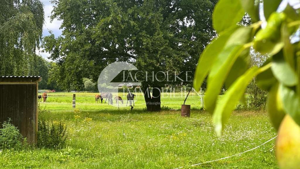 Immobilie in Adelheidsdorf - Landleben pur: Hofensemble mit Acker & Grünland auf 18,5 ha - ideal für Pferdehaltung - Bild 2