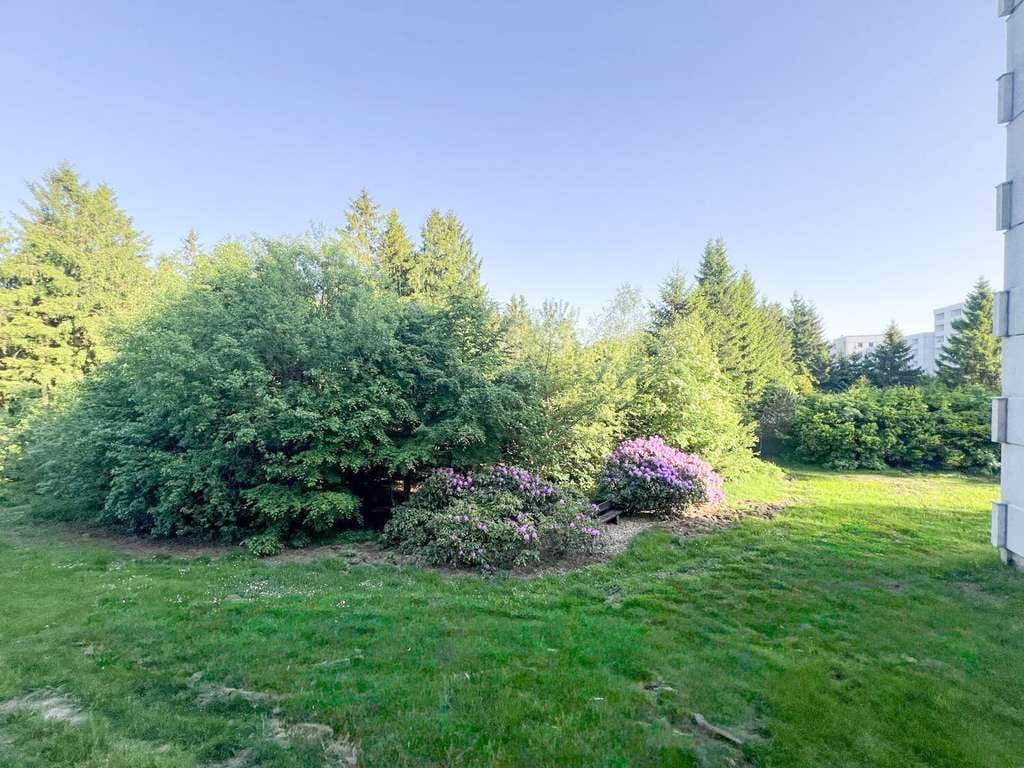Immobilie in Goslar - Schöne 3 Zimmer-Wohnung mit ca. 48 m² im Ferienpark Hahnenklee - Bild 4