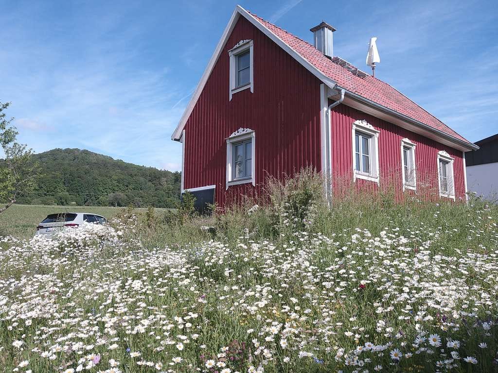 Immobilie in Fladungen - Wohnhaus Neubau am Fuße der Hochrhön - Bild 3