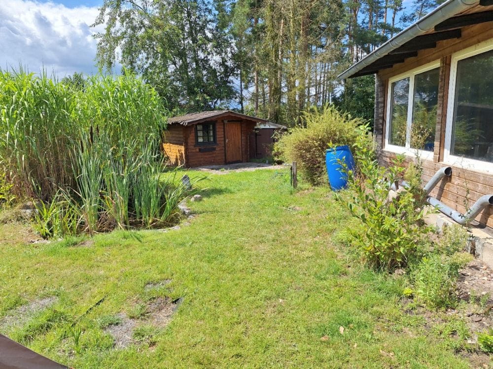Immobilie in Sassenburg - ca. 800m2 Grundstück mit altem Haus etc. Sanierungsbedürftig - Bild 4