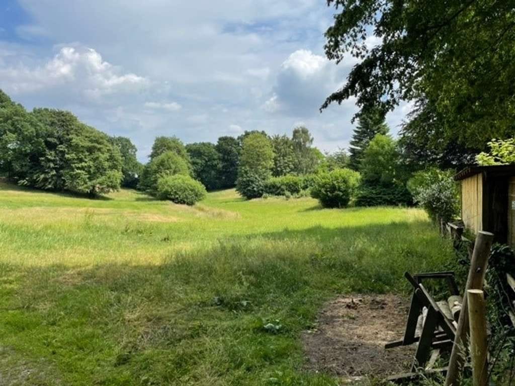 Immobilie in Nehms - Wohnen mit Weite: Resthof mit 4 ha Fläche und Nebengebäude - Bild 3