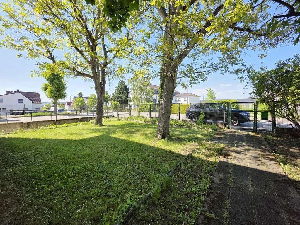Immobilie in Gensingen - Gensingen - Einfamilienhaus mit potential auf großem Grundstück! - Bild 2