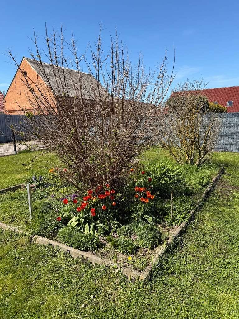 Immobilie in Randowtal - Einladendes Einfamilienhaus mit Wintergarten und Carport in Randowtal - Bild 2