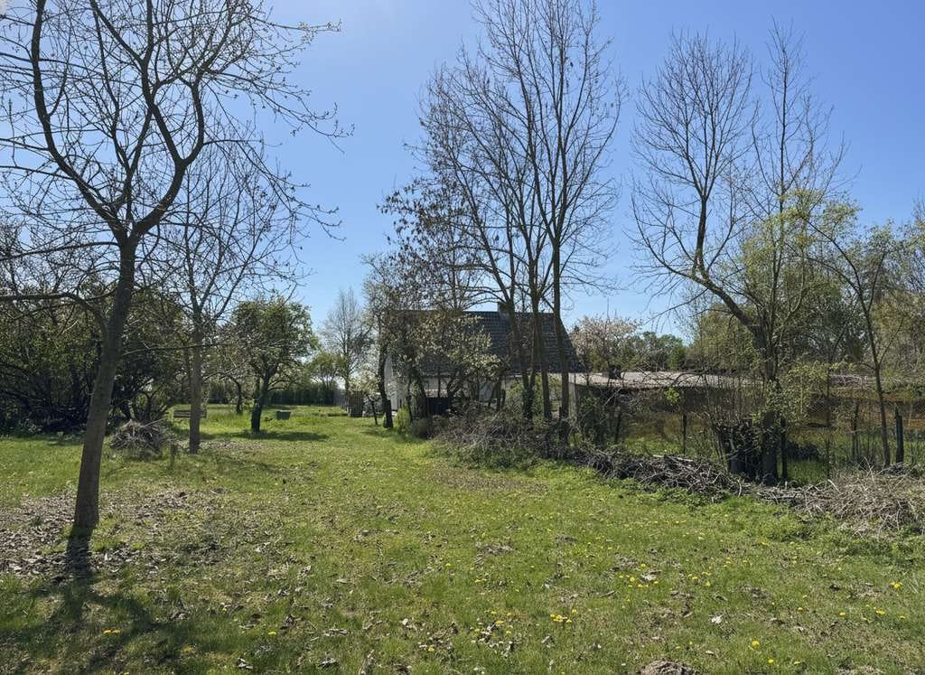 Immobilie in Murchin - 2. Baufeld möglich: Einfamilienhaus mit Ausbaupotenzial und großem Gartengrundstück - Bild 4