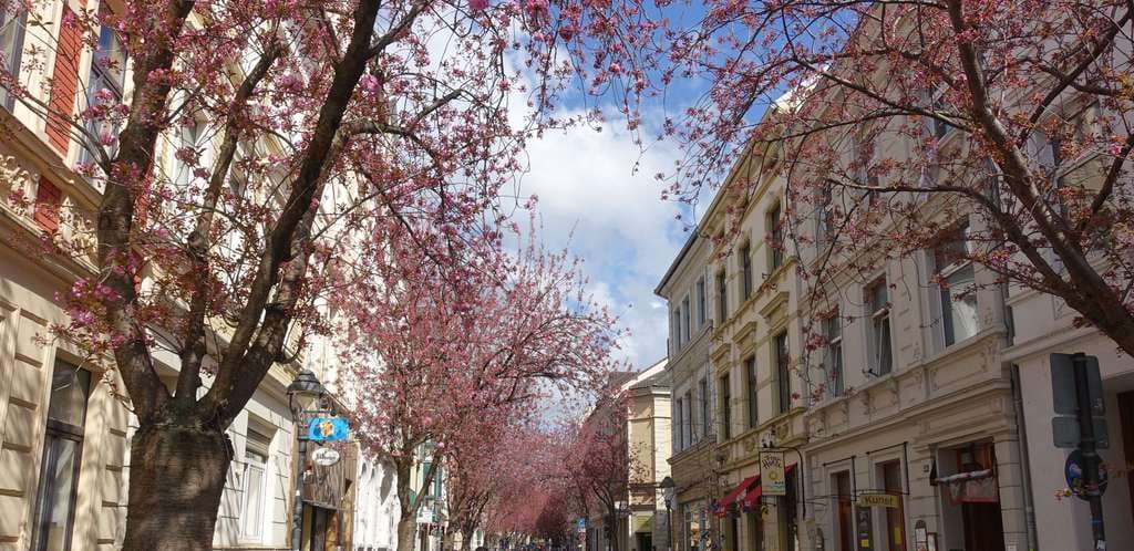 Immobilie in Bonn - Mehrfamilienhaus in der beliebten Bonner Altstadt ! Ideal für Kapitalanleger ! - Bild 4