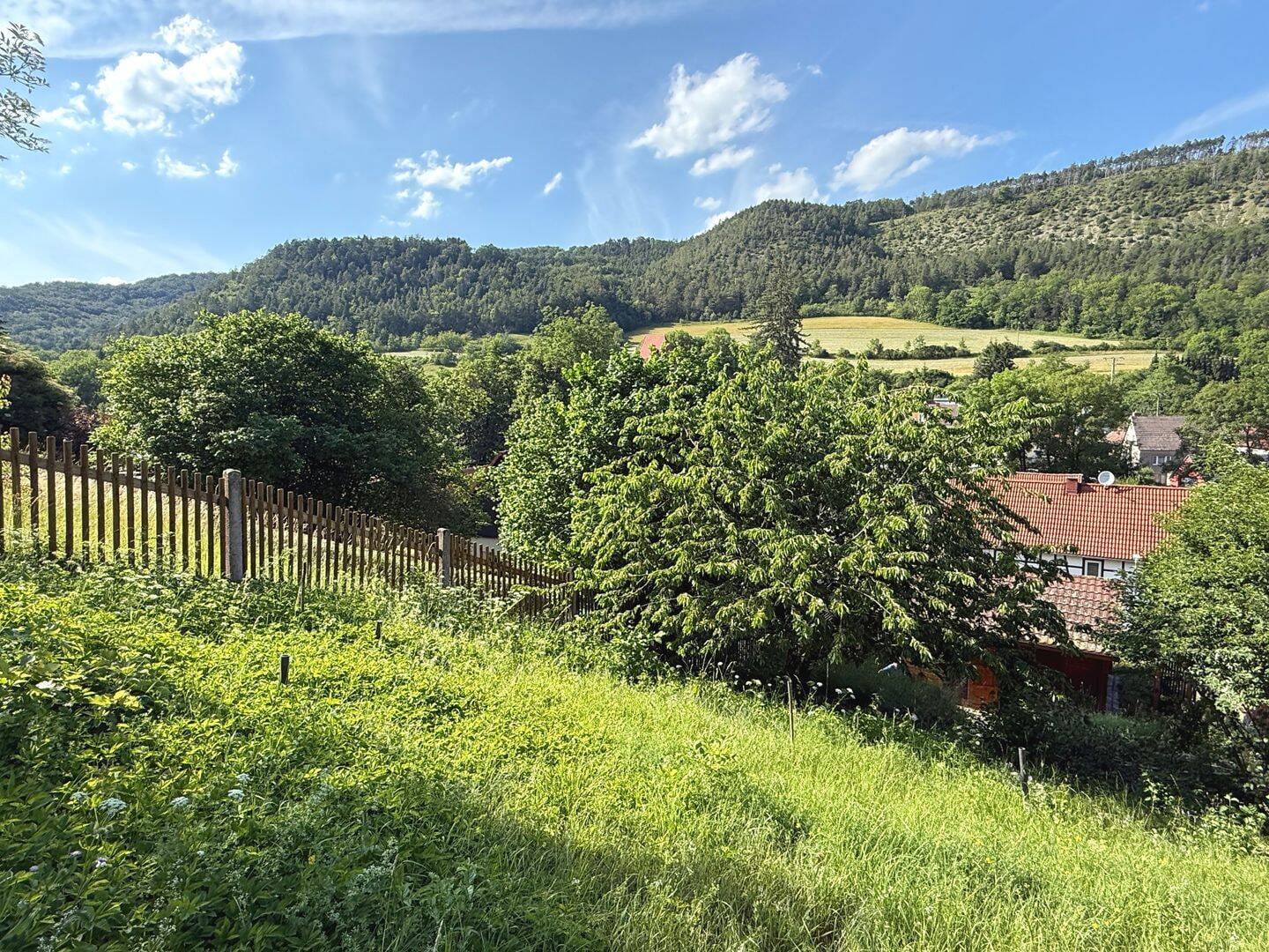Immobilie in Jena - Traumhaft schönes Wochenendhaus auf einem Südhang-Grundstück in Jena-Leutra zum Verkauf - Bild 2