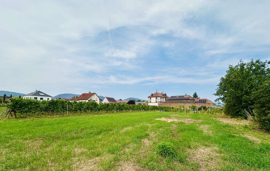 Immobilie in Edesheim - Exklusive  170 qm große , loftähnliche Dachgeschosswohnung in Top- Lage! - Bild 0