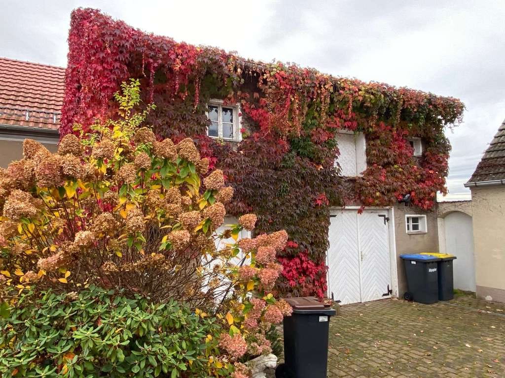 Immobilie in Mühlberg/Elbe - Gepflegtes Familienidyll -  Einfamilienhaus in Fichtenberg - Bild 3