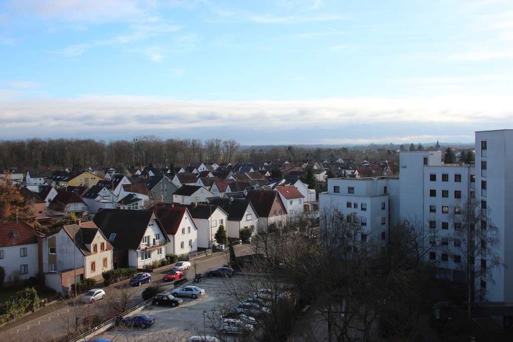 Immobilie in Neuhofen - "über den Dächern von Neuhofen" - Bild 0