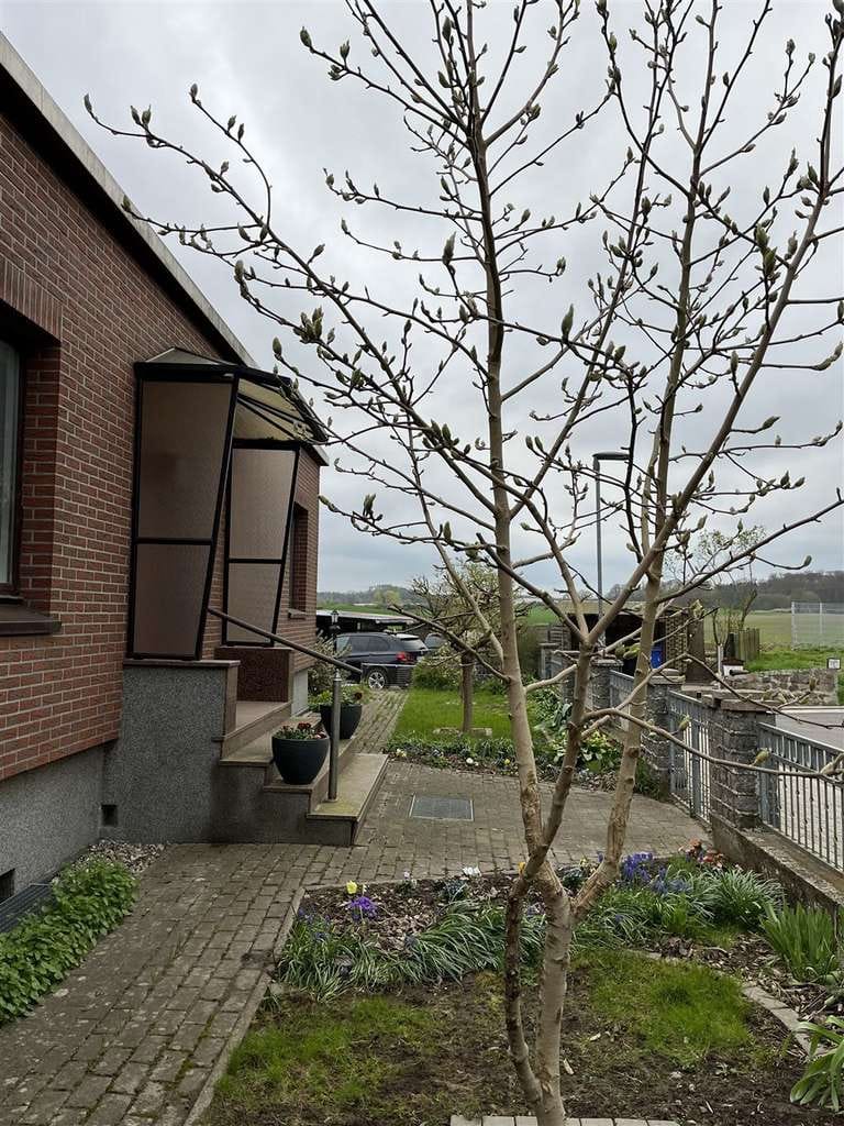 Immobilie in Baumgarten - Großzügiges Wohnen - viele Möglichkeiten - Bild 0