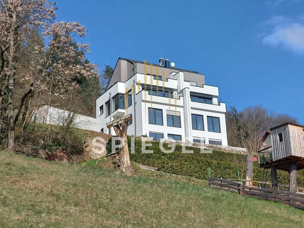 Immobilie in Sulzbach am Main - Einfamilienhaus - Ausbauhaus! - Bild 3