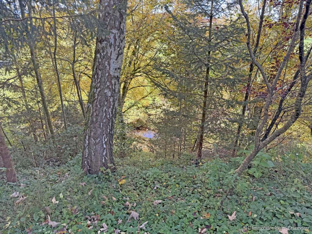 Immobilie in Traunstein - 2 Familien - oder Generationenhaus mit großzügigem Garten in Kammer bei Traunstein - Bild 4