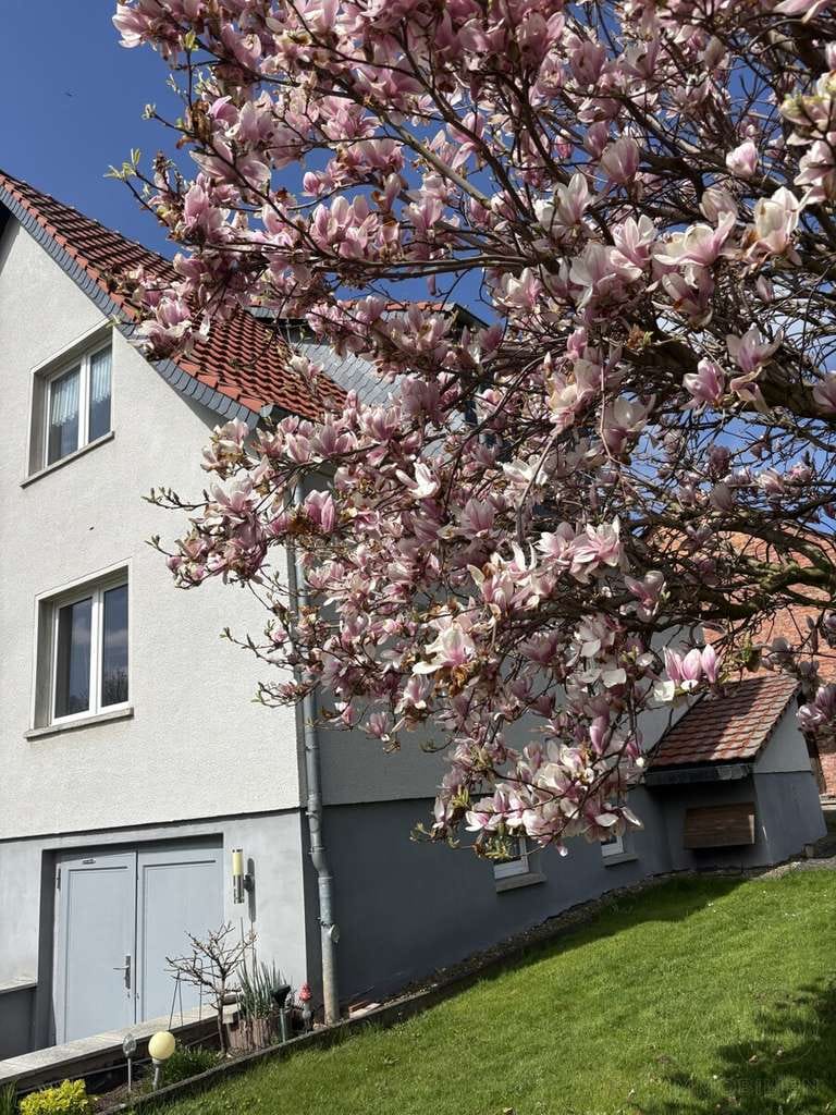 Immobilie in Teistungen - tolles Einfamilienhaus - Bild 0